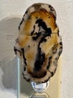 Extra Large Montana Moss Agate Night Light  Yellowstone River Stone