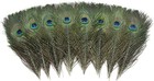 12 Pcs Real Natural Peacock Eye Feathers 10-12 Inch For Diy Craft  Wedding    