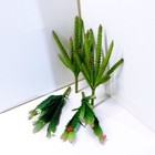 4 Pcs Artificial Plastic Grasses Flower Blooming Cactus Succulents Plants