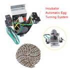 Egg Turner 110v Egg Turning System Automatic Incubator Accessories   100cm Chain