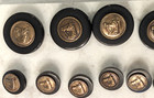 Rare Set Of 13 Vintage Equestrian Horsehead Buttons - Brass   Black Classic