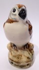 Pretty Bird  Babbacombe Blp Pottery England   Carolina Wren Pie Bird Vent funnel