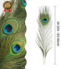 10pcs Real Natural Peacock Eye Feathers 10-12 Inch For Diy Craft Floral Arrangem