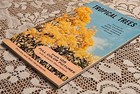 Tropical Trees Found In The Caribbean South   Central America Mexico 1965 Vtg