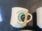 Vintage Boy Scout Mug Lot Of 5 Dan Beard Piankeshaw Order Of The Arrow Cherokee