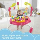 Fisher-price Baby Bouncer Pink Petals Jumperoo Activity Center With Music  light
