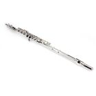 Hot Sale Nickel Plated C Closed Concert Band Flute Silver Brand New With Tools -
