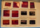 Vintage Argus   Airequipt 36 Slide Changer Magazine - Filled Or Empty You Choose