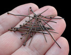 20 Handmade Brass Pins With Wrapped Heads From The 16th    17th  Century 