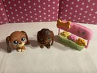 Littlest Pet Shop Mixed Lot  Beagle  Basset Hound   Tiger Cat  Inchworm   More