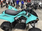 2025 Yamaha Raptor 110 