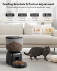 Automatic Cat Feeder 3l Timed Pet Food Dispenser Portion Control