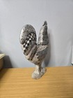 Vintage Rooster Decoration  Approx  13  Tall   11  Wide  Gvc
