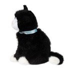 Douglas Toys Mini Black   White Tuxedo Cat Plush Stuffed Animal Toy  6 