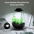 Mini Desktop Glass Plant Terrarium With Grow Light - Planter For Succulent Mo   