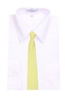 Boys 14 Inch Light Yellow Solid Pretied Zipper Necktie Weddings Formals - Nwt