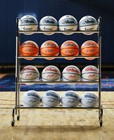 Caitin Clark Indiana Fever Wilson Oasis Basketball Size 6  New Series 2025
