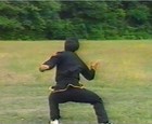 Dvd - Mi Tsung 2  Mi Zong Lost Track Kung Fu W  Sifu Tony Yang