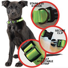 Rechargeable Airtag Usb Led Pet Dog Glow Collar Night Safety Adjustable Light-up