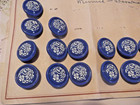 Vtg 15 German Glass Shank Buttons On Original Card Blue W  White Painted Floral