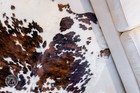Real Cowhide Rug Tricolor - Size 6 X 6-7   