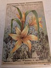  rare  Vict  Lg  Trade Card Beatty  s Beethoven Organ Only  90  Washington Nj