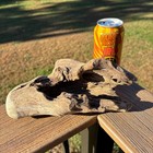 Hollowed Driftwood 9x4x5     Conch Shell Shaped Natural Wood For Aquarium Or Decor