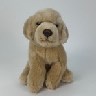 Animal Alley Toys R Us Golden Retriever Puppy Plush Stuffed Animal Tan 8 5 Inch