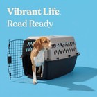 Extra Large Dog Crate 40      Durable Travel Kennel  Hard Shell Carrier W  Metal