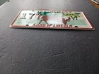 1993 Pope Co County Deer Festival Illinois License Plate 177 November 