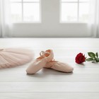 Unbranded Cotton And Leather Ballet Dance Slipper Split-sole Canvas Shoes
