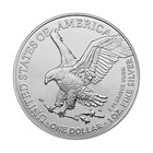 2024 1 Oz Silver Eagle  1    see The Picture For More D etails    