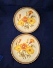 Set Of 2 Vintage Mcm 70s Retro Poppies Floral Dinner Plates Orange Yellow Red