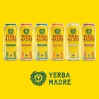 Guayaki Yerba Madre  - Choose Your Flavor - 15 5fl oz   pack Of 16 