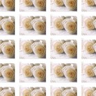 10 Panes Forever Stamps White Rose Wedding Free Priority Shipping