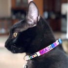 Personalized Multicolor Cat Collar  Custom Breakaway Safety Collar For Kitten