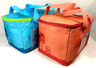Trader Joe s Mini Insulated Tote Bag Peach Or Teal Or Both Set Lunch Or Meal