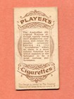 1904 John Player Cigarettes British Empire Series Tobacco Card  7 Aboriginals