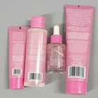 Dermasil Pdrn Pink Skin Care Set Cleanser Toner Serum Gel Cream