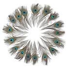 12 Pcs Real Natural Peacock Eye Feathers 10-12 Inch For Diy Craft  Wedding