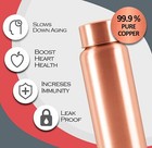 Milton Copper Aqua 1000 Water Bottle  950 Ml  Copper   100  Leak Proof   Office