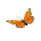 - Monarch Butterfly Decor  Feather Butterfly Decorations Set Of 12 Pcs With C   