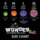 Wunderball Best Dog Ball Fetch Toy  Extra Large Dogs Over 80 Lbs  Assorted Color