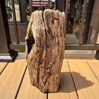 Dense Driftwood Log 14x6 Solid Natural Wood Terrarium Aquascaping Decor