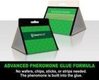Maxguard Pantry Moth Traps  24 Pack  With Extra Strength Pheromones   Green