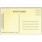 Halloween Postcard Modern Skeletons Dance Party Moon Face Jol Black Cat Standard