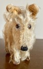 Prewar Rare Steiff   White Terrier Puppy Dog 8   x 6    Tall Scruffy Must See 