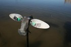 Mojo Outdoors Elite Series Duck Hunting Motion Decoy  Green Wing Teal  new 