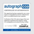 The Script Autographed Signed Framed Cd Satellites Acoa