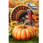 Briarwood Lane Wild Turkey And Pumpkins Garden Flag